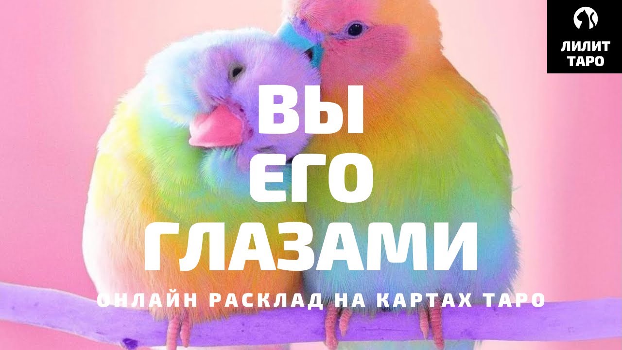 4 КОРОЛЯ: ВЫ ЕГО ГЛАЗАМИ, ЕГО МЫСЛИ И ЧУВСТВА онлайн расклад на картах Таро |Лилит Таро| Гадание 🔮 