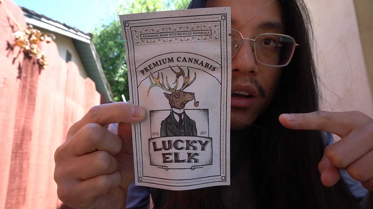TRYING THE *AAA* LUCKY ELK FLAPJACKS
