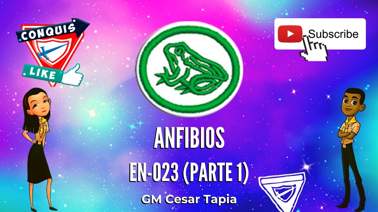 Avance de Especialidad de Anfibios.👨💻👨🏫🏕️