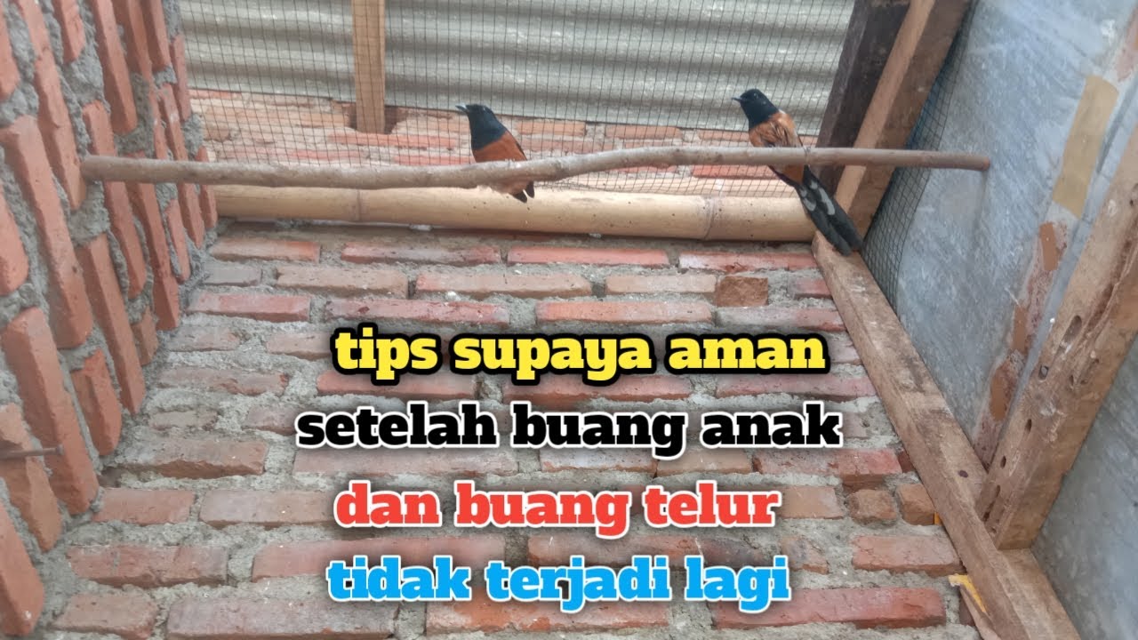 setelah lakukan satu cara ini pasti aman