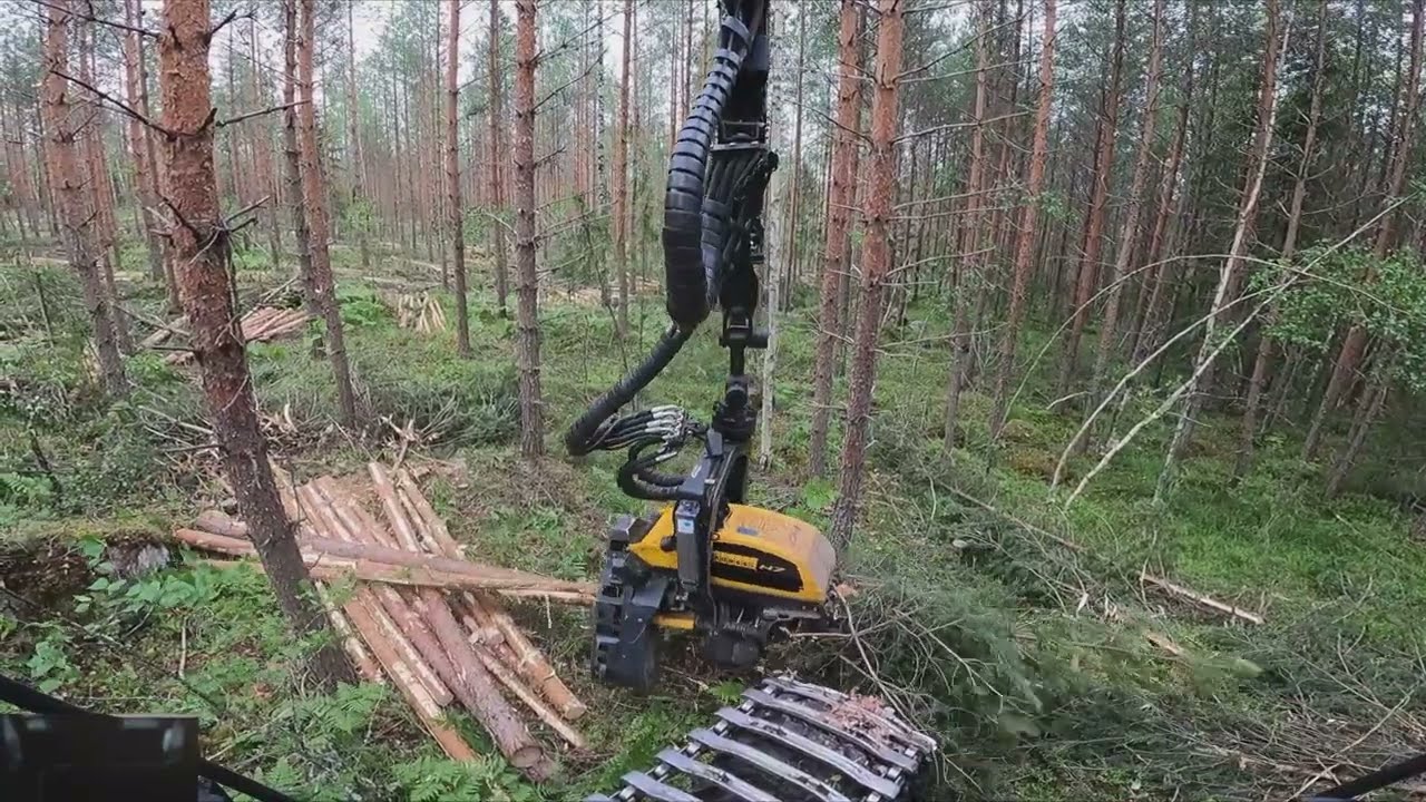 Hyv&auml;&auml; Juhannusta kaikille! 🌳🔥🍻 Ensiharvennus hommat jatkuu viel&auml;. Ponsse Scorpion K H7 AC FC