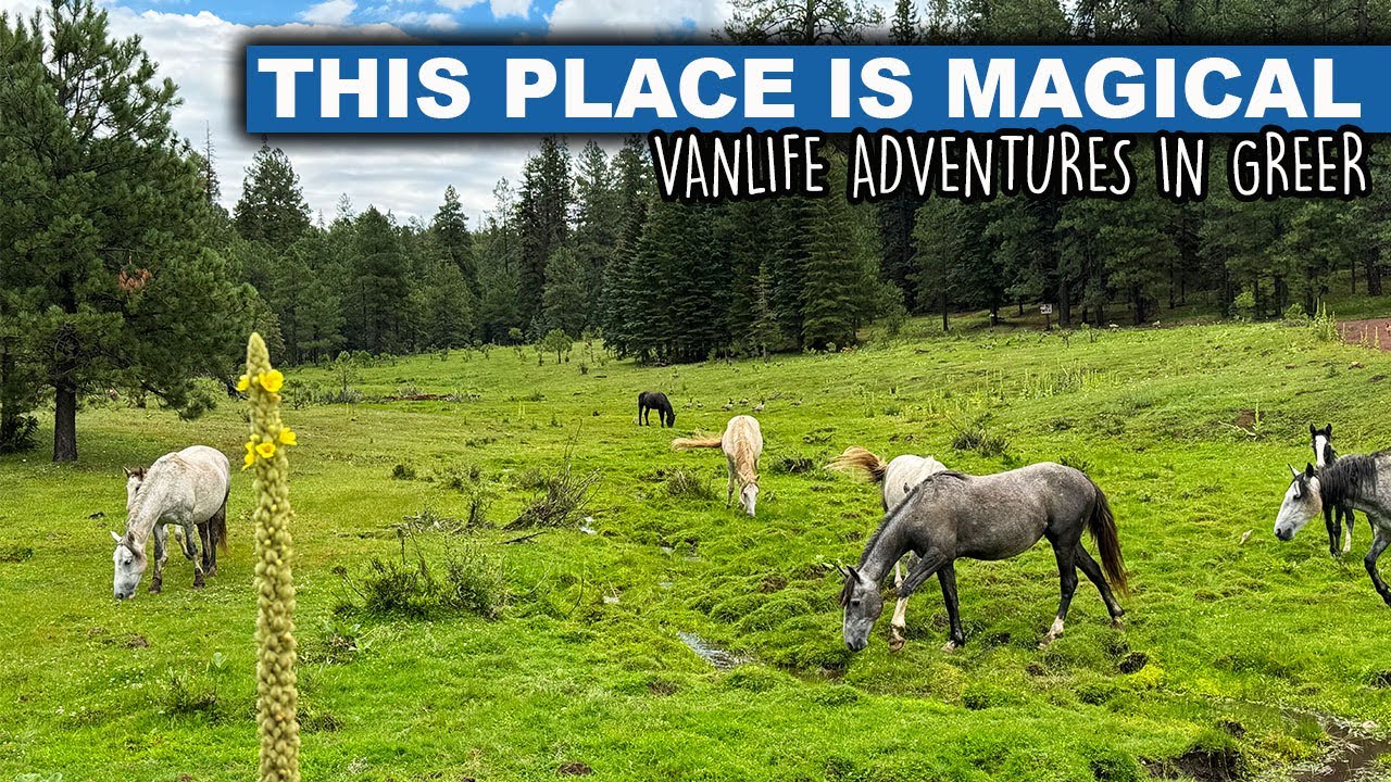 Vanlife Adventures In Greer, Arizona | This Place Is Magical