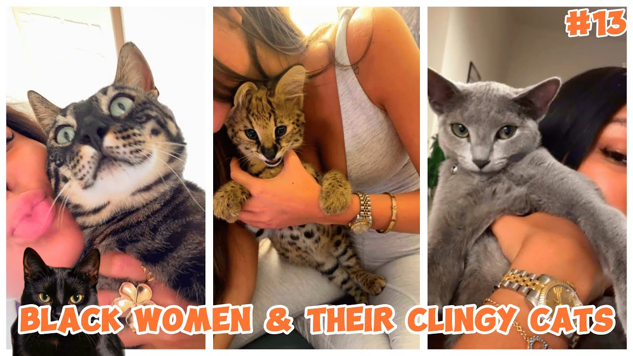 Black Women & Their Clingy Cats #13 | LUCKY UPDATE 🐾 | Funny TikTok Compilation 2026 #cat #cats