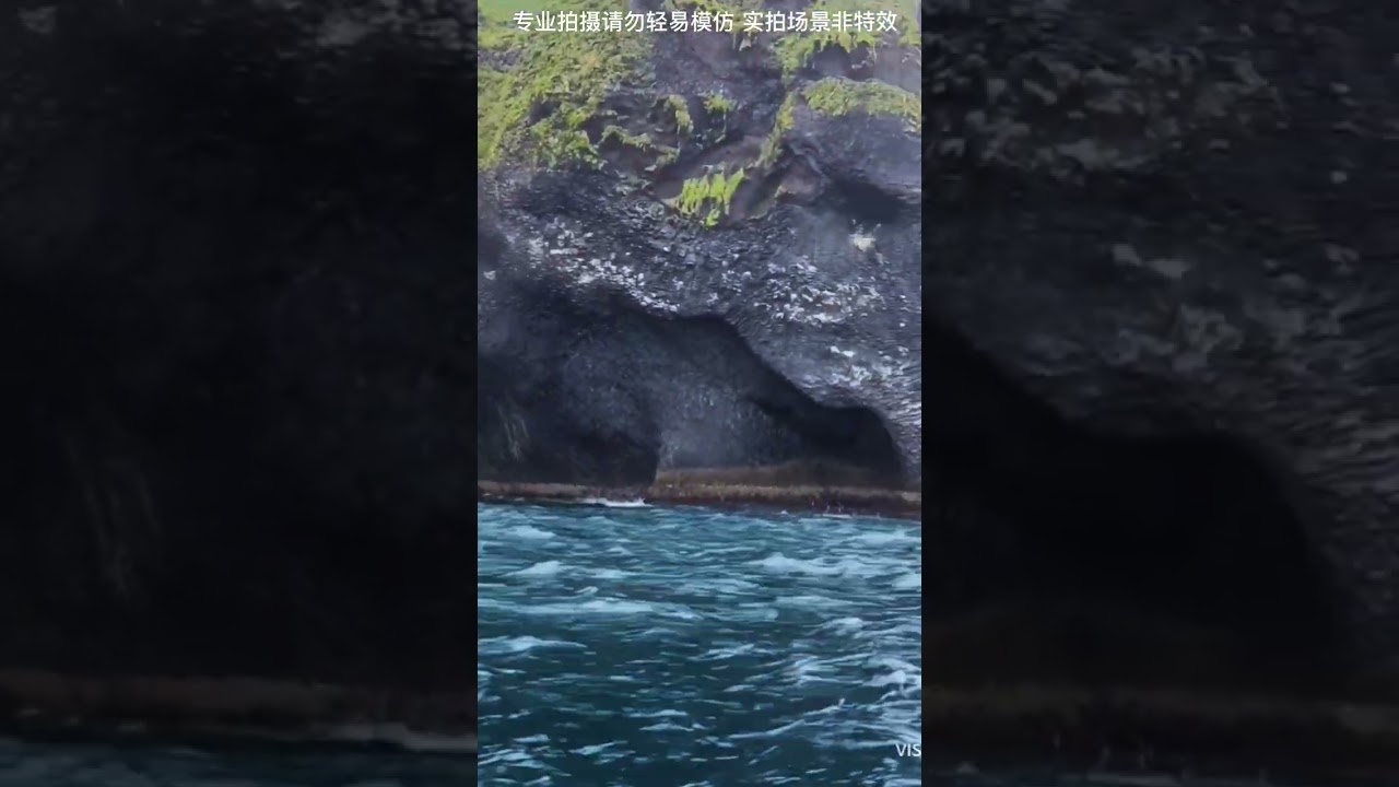 Elephant Mountain in Sea #shorts #viral #trend #funny #entertainment #mustwatch #ocean #sealife