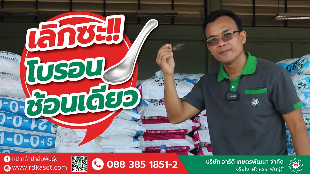 เลิกซะ โบรอนช้อนเดียว