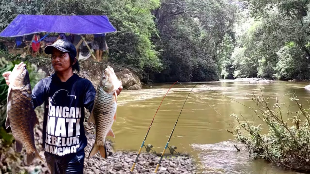 Mancing camping blusukan..!! Di spot yg masih perawan susah sekali untuk di jamah manusia