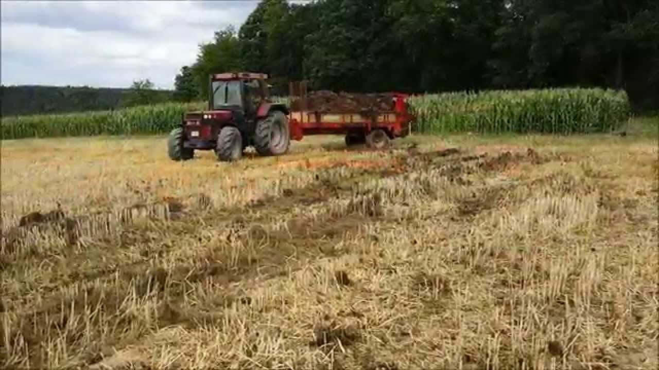 Mist streuen 2015 mit International 856 XL und Krone Optimat und Claas Arion 420