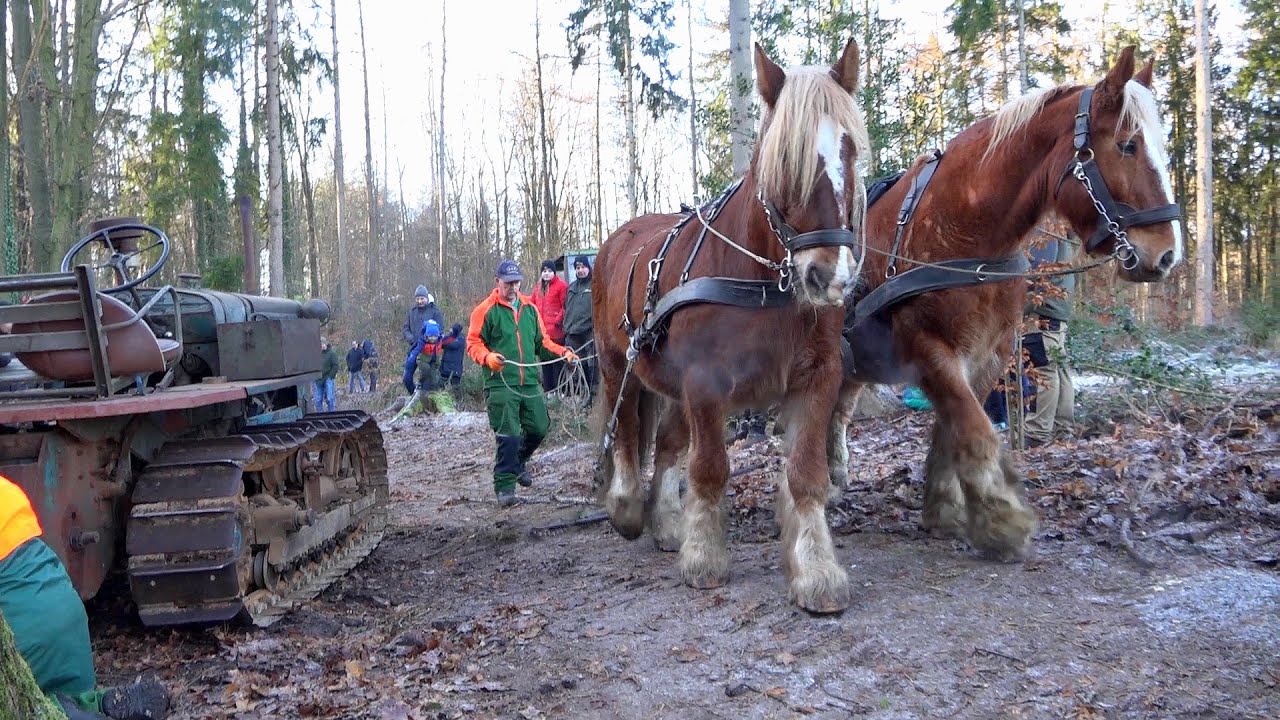 Wintertreffen in Burg 2025 SOLO Twin 1965 SportSOUND Hanomag Raupe