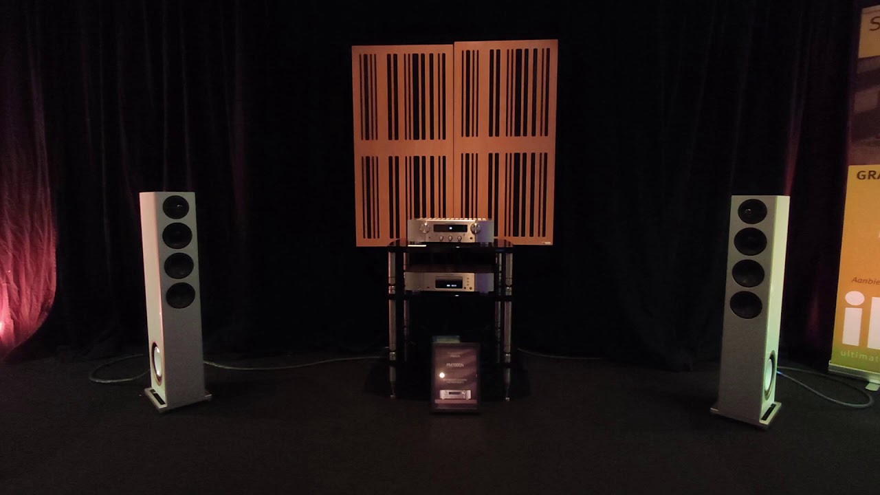 Audio Show iEar' 2019 Tilburg NL  Definitive Technology D15