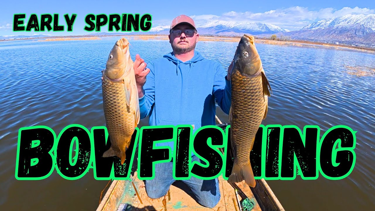 BOWFISHING IS HERE! Bowfishing in March (Utah Lake)