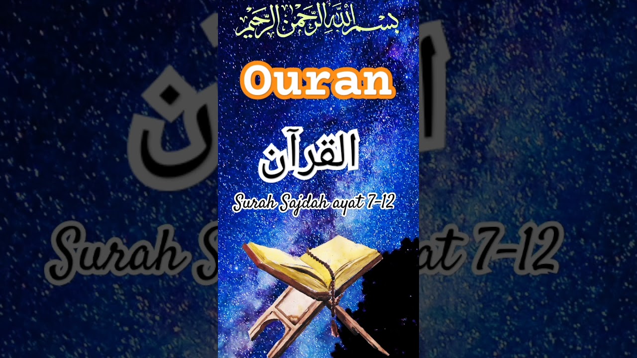 #quran #wazif #translationquranandislam #qurantranslation #shortfeed