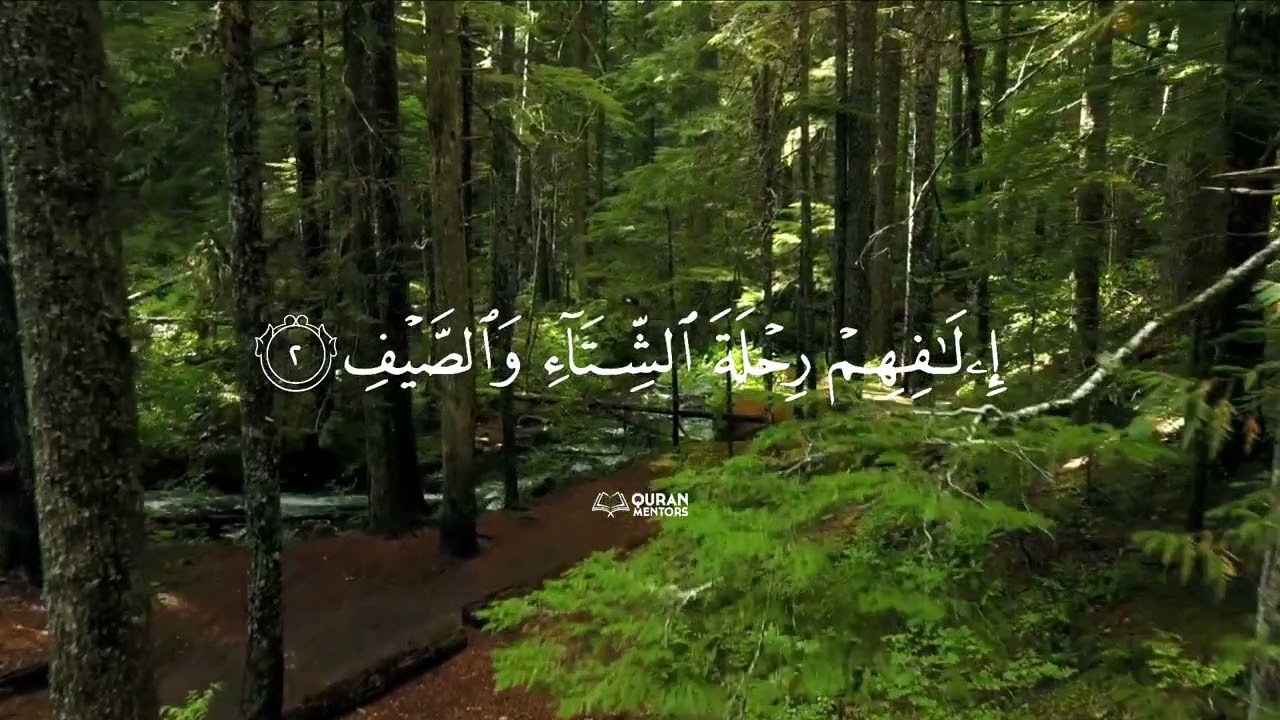 Surah Qurayshl l Mishary Rashid Alafasy l #allah #quran #islamic #last10surahs #quranmentors