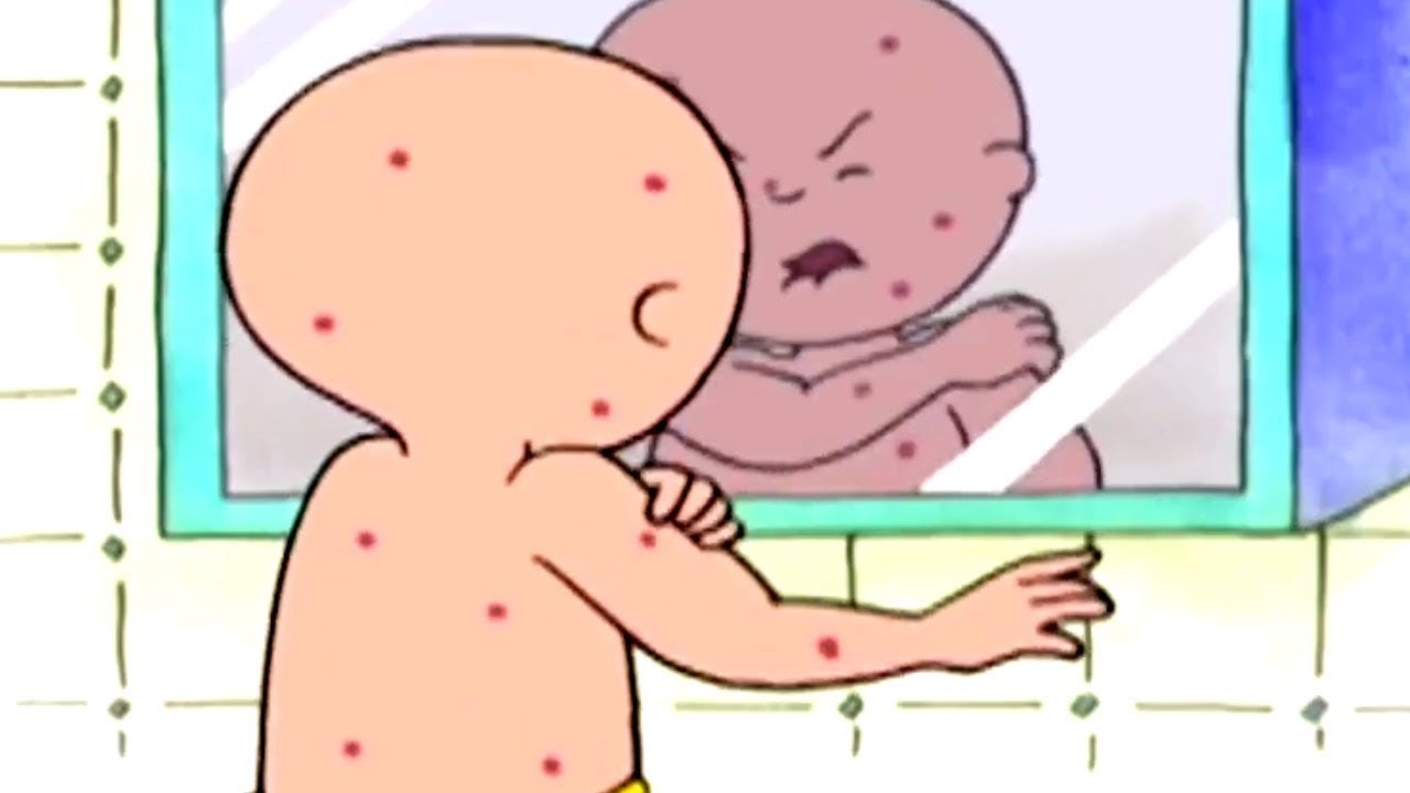 Kajtus i Alergia | Kajtuś po Polsku [Caillou] - WildBrain