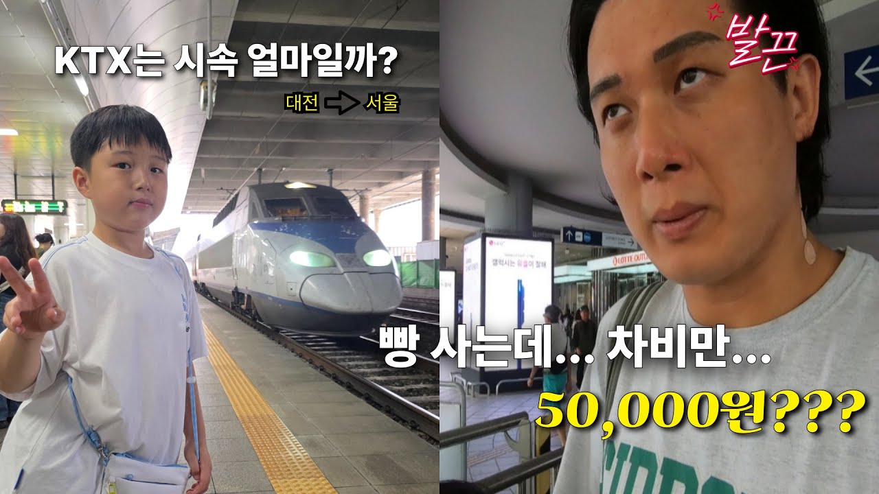 성심당가는데...차비만 5만원...대전~서울 KTX는 시속 얼마일까?