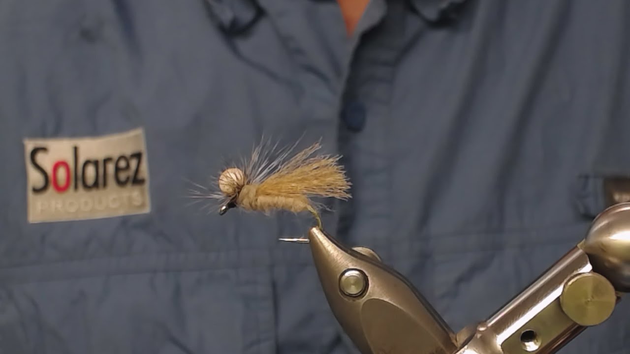Neversink caddis