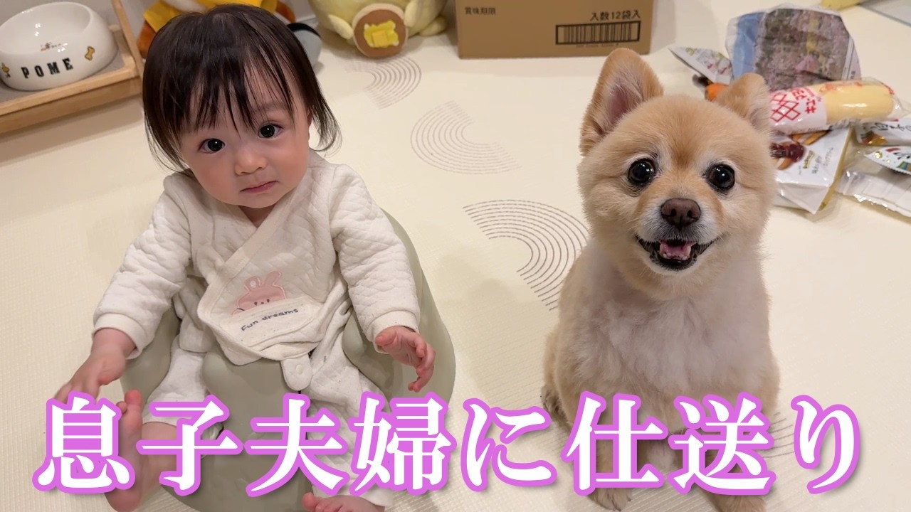 【仕送り開封】ポメくんと息子夫婦に仕送りを送りました！