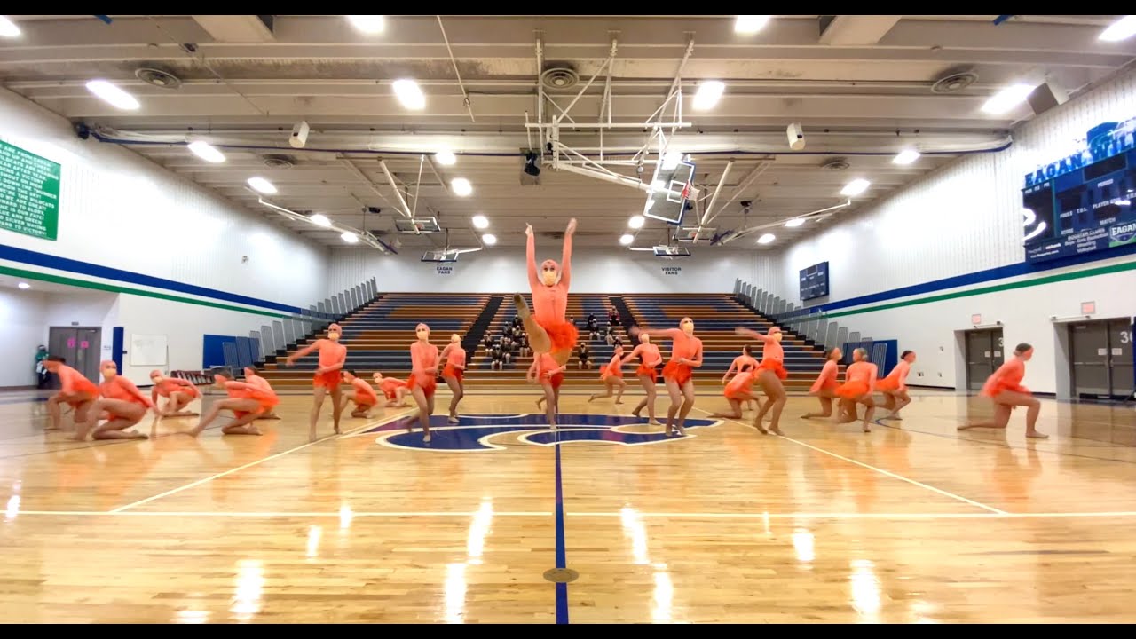 Lakeville North Lake Liners Dance Team 2020-21 Season