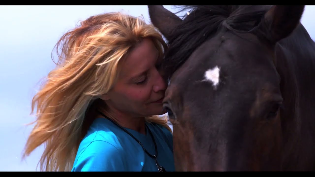 HERD TRAILER  &bull;  A DOCUMENTARY BY STEFAN MOREL