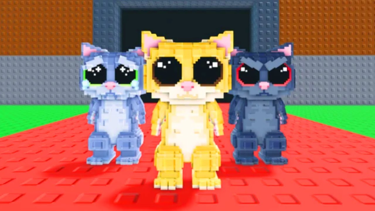 AY MI GATITO MIAU MIAU