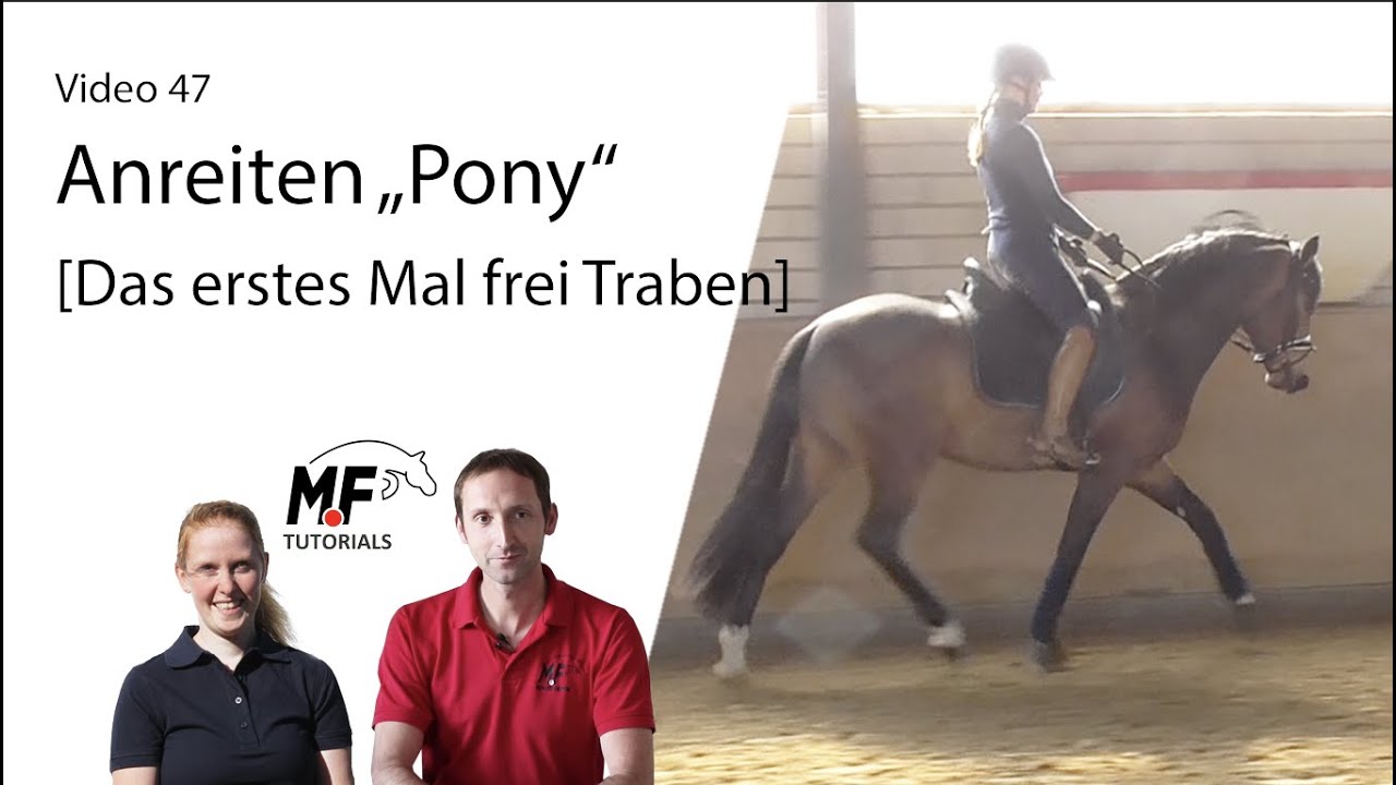 [47] Anreiten (Teil3) | erstes mal alleine aufsteigen und frei Traben  | 3j. Pony Hengst