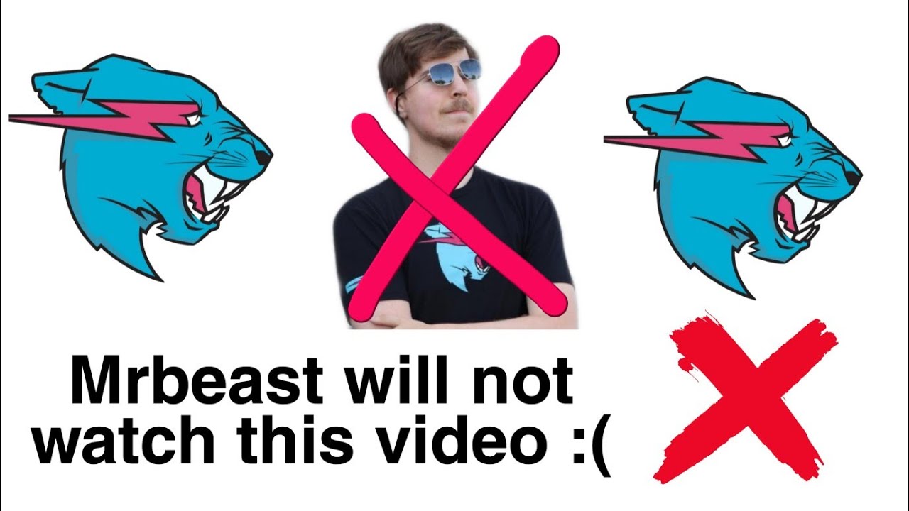 Mrbeast won't see this video :(