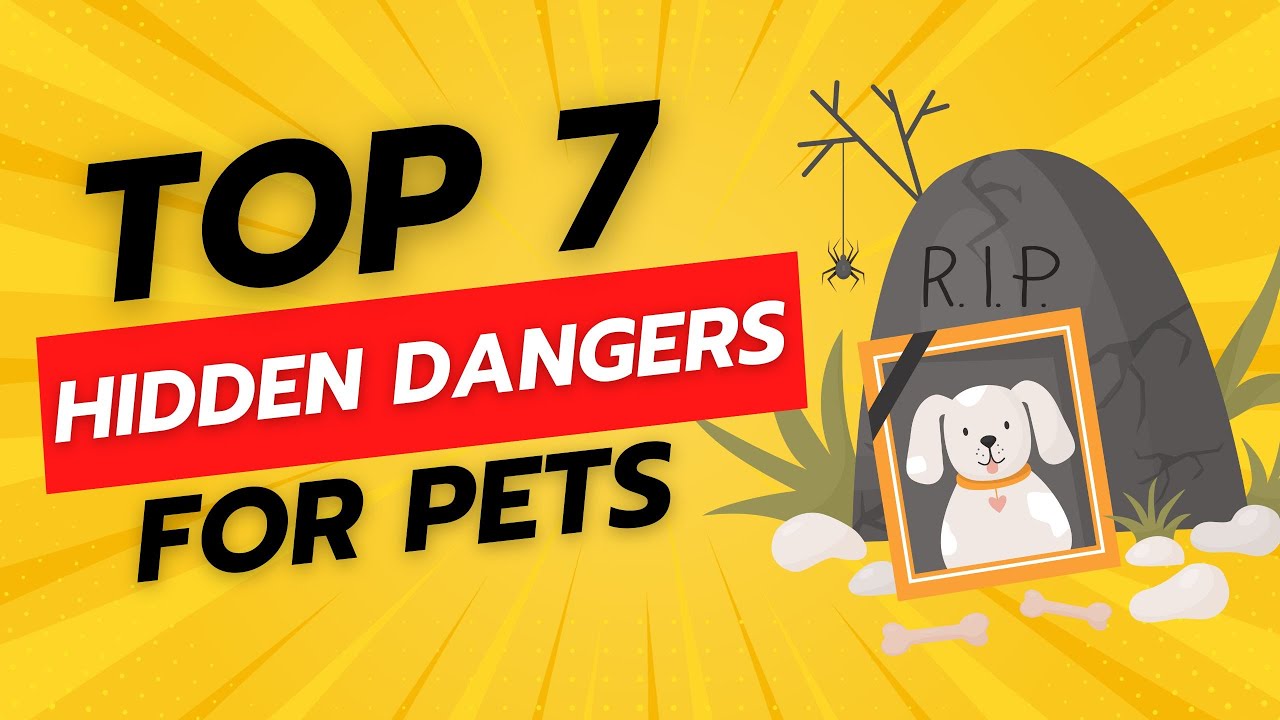 Pet Safety: 7 Common Household Hazards to Avoid | Total Pet Tales