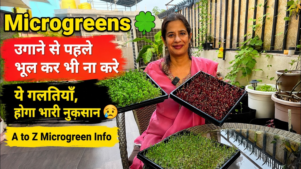 Microgreens उगाने से पहले भूल कर भी ना करे ये गलतियाँ, होगा भारी नुक़सान 😥 A to Z Microgreen Info