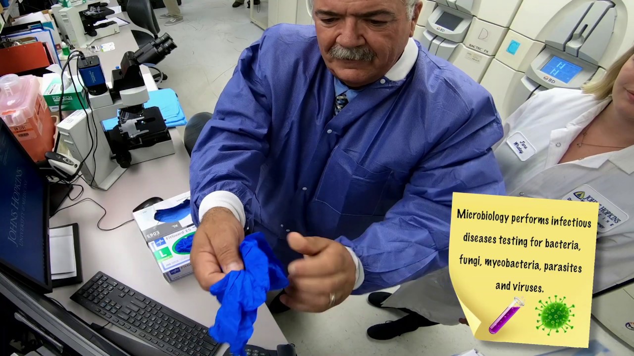 Big Jobs Uncovered | Microbiology Department with George Economas