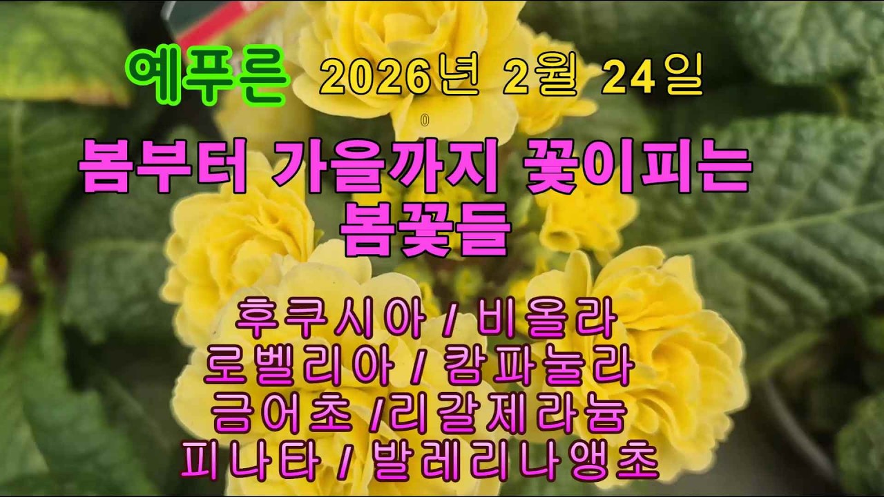26년2.24) 봄부터 가을까지 꽃이 피는 봄꽃들