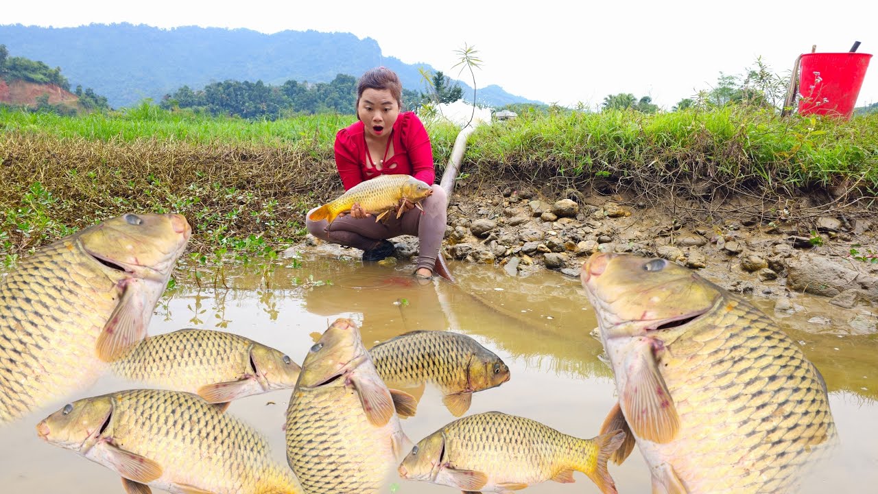 Use the pump to suck water out of the lake,catch many big fish and sell them