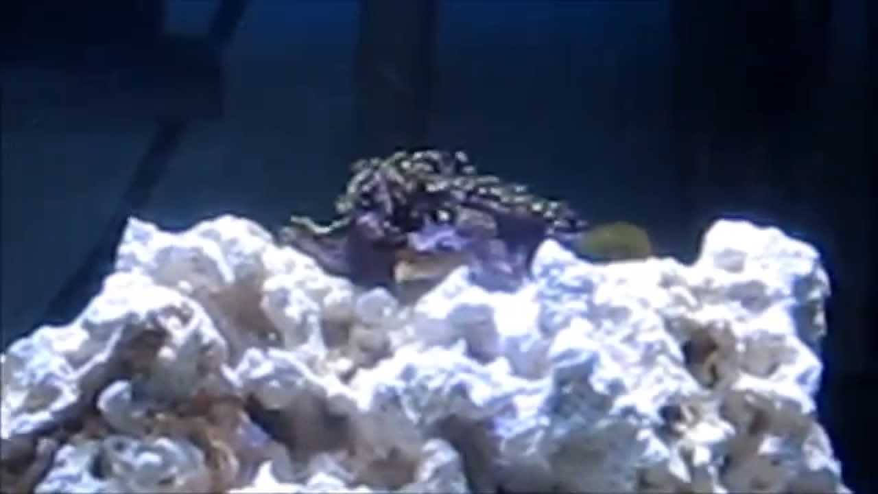 Silent and Beautiful