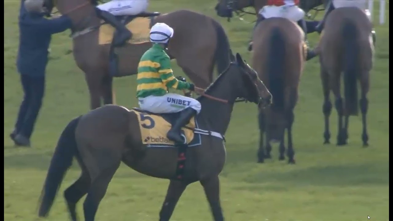 RACE NO -05  -  Ascot 14 Feb 2026