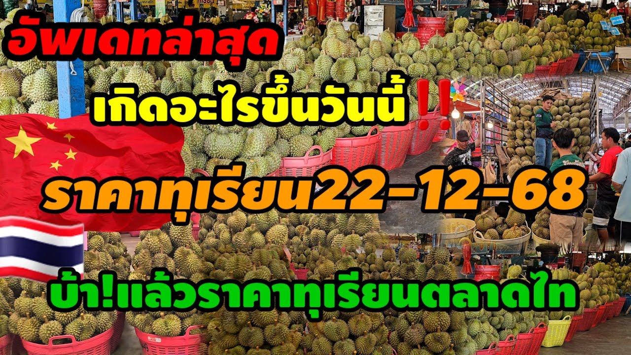 บ้าแล้ว!ราคาทุเรียนตลาดไทล่าสุดเกิดอะไรขึ้#streetfood #พ่อค้าแม่ค้า #food 