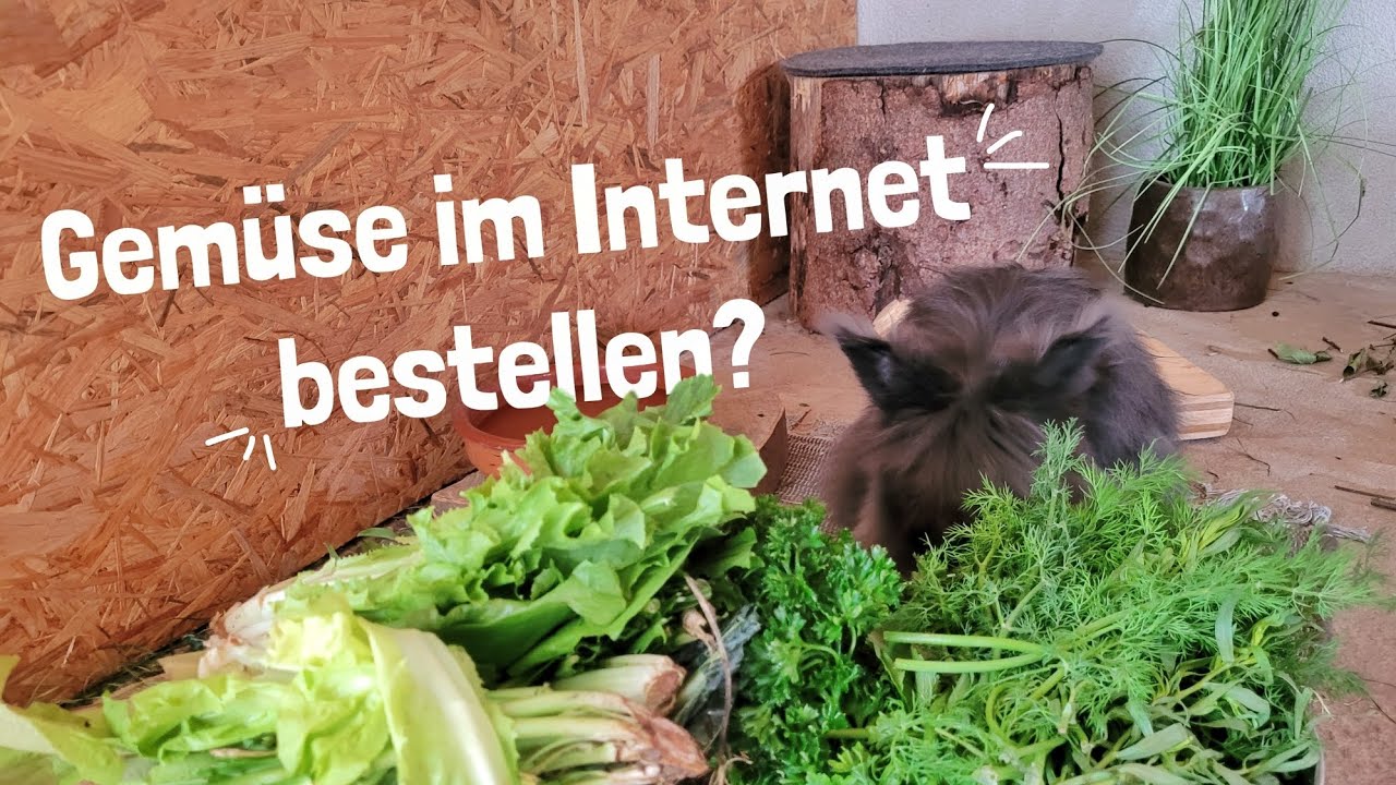 Frischfutter im Internet bestellen?! | Kaninchenkiste Test