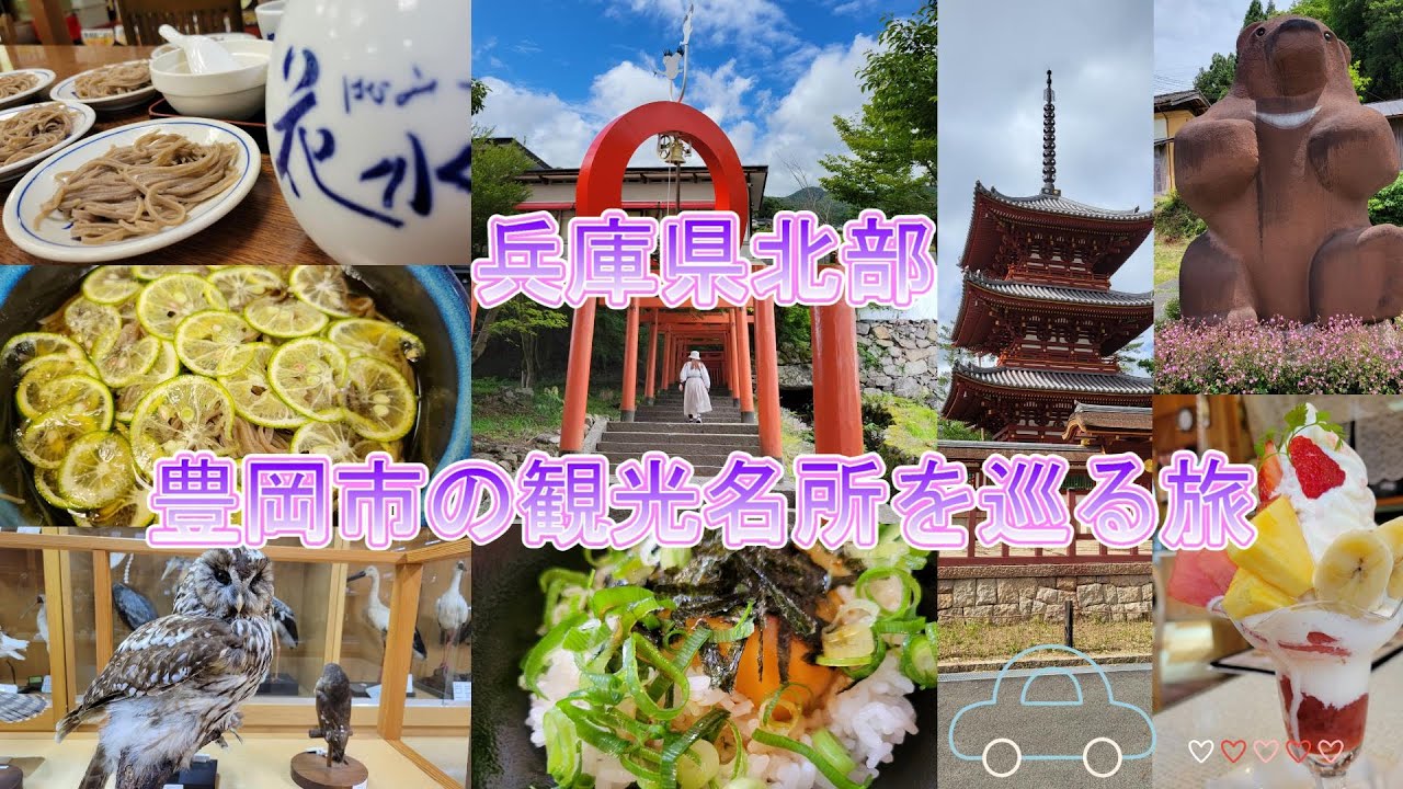【豊岡観光】卵かけご飯の但熊・出石そばの花水木・幸せを運ぶコウノトリの郷公園・おせんべいの播磨焼本店・フルーツアイランド百果園