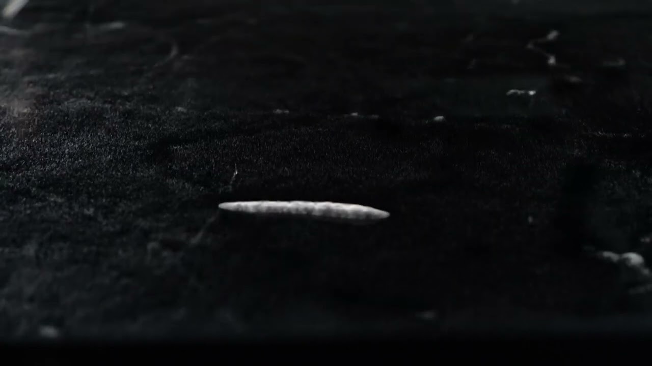 Imágenes de la Cámara de Niebla del MUNCYT Alcobendas