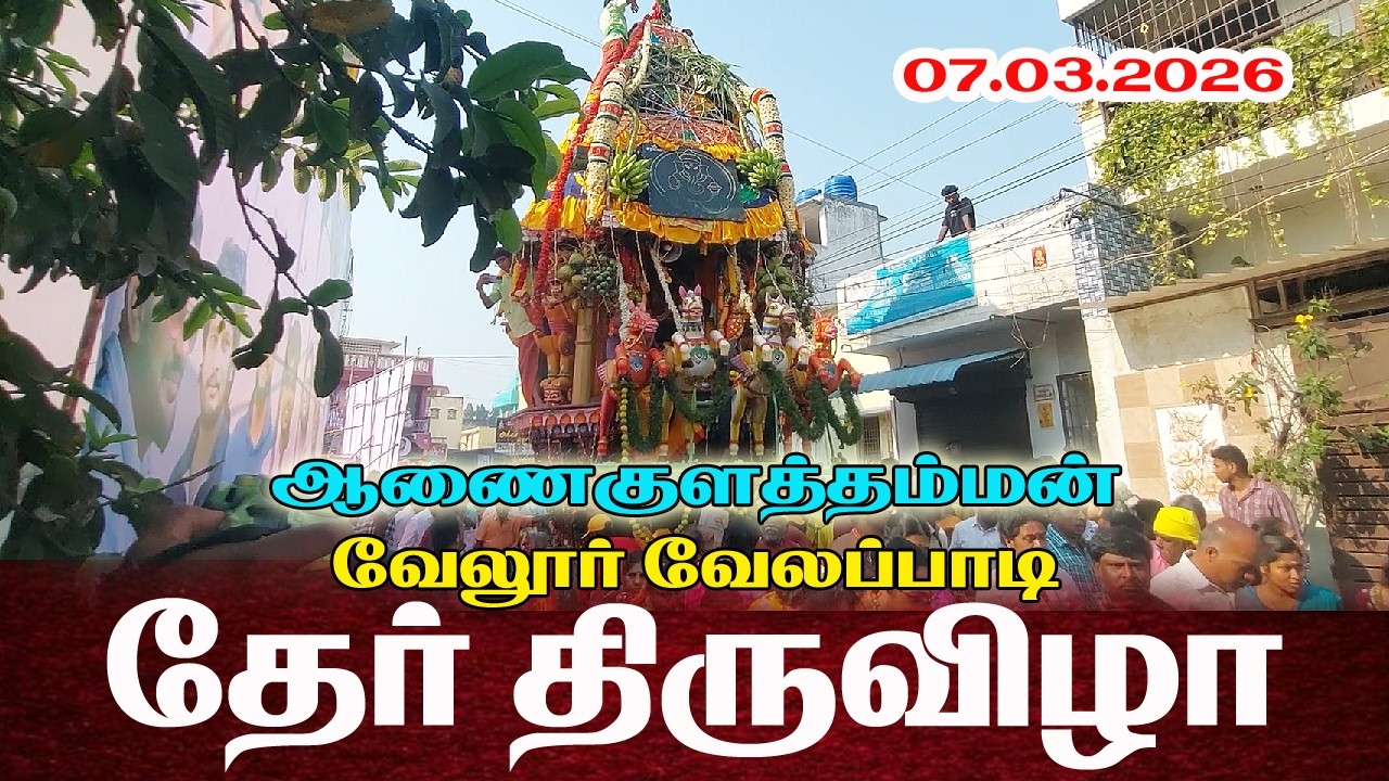 🔴Live:  திருத்தேர் திருவிழாஸ்ரீ ஆனைகுளத்தம்மன்  / வேலூர் வேலப்பாடி