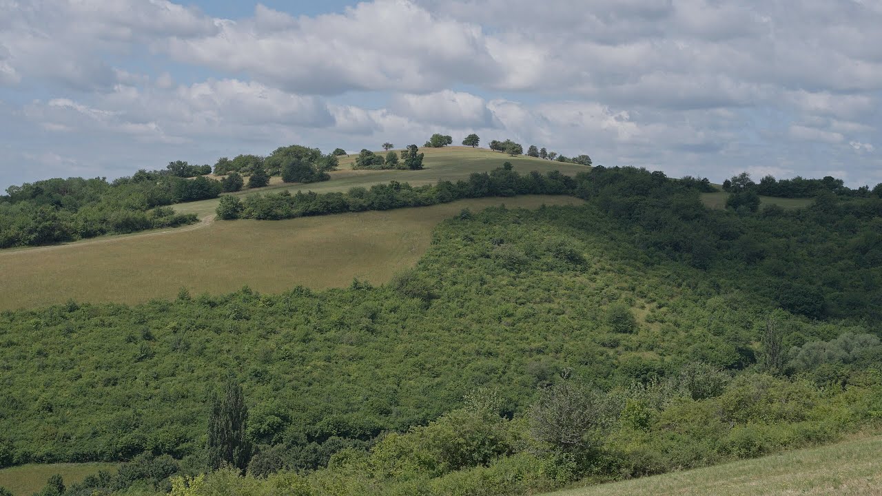 Haluzice - Melčice (Biele Karpaty - Jún 2025)