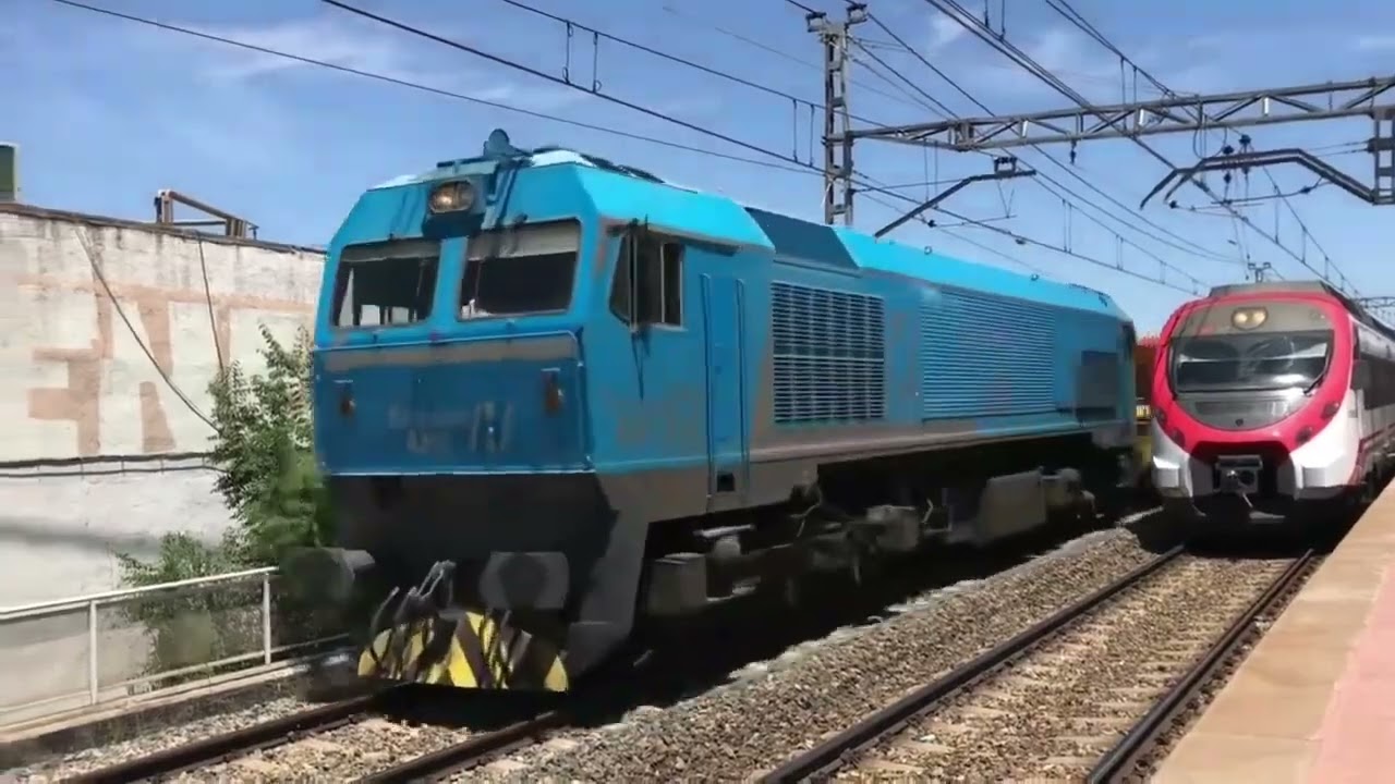 Trenes de mercancías 319