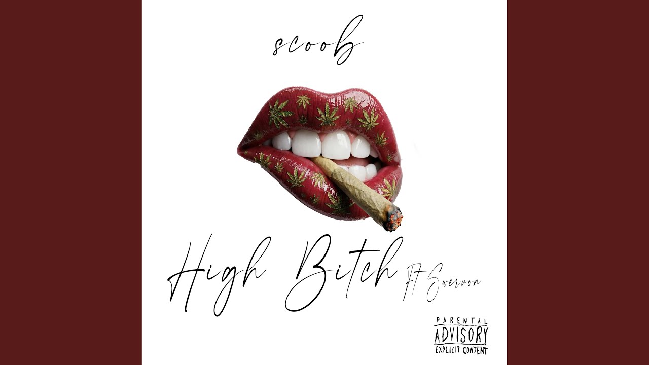 High Bitch (feat. Swervon)