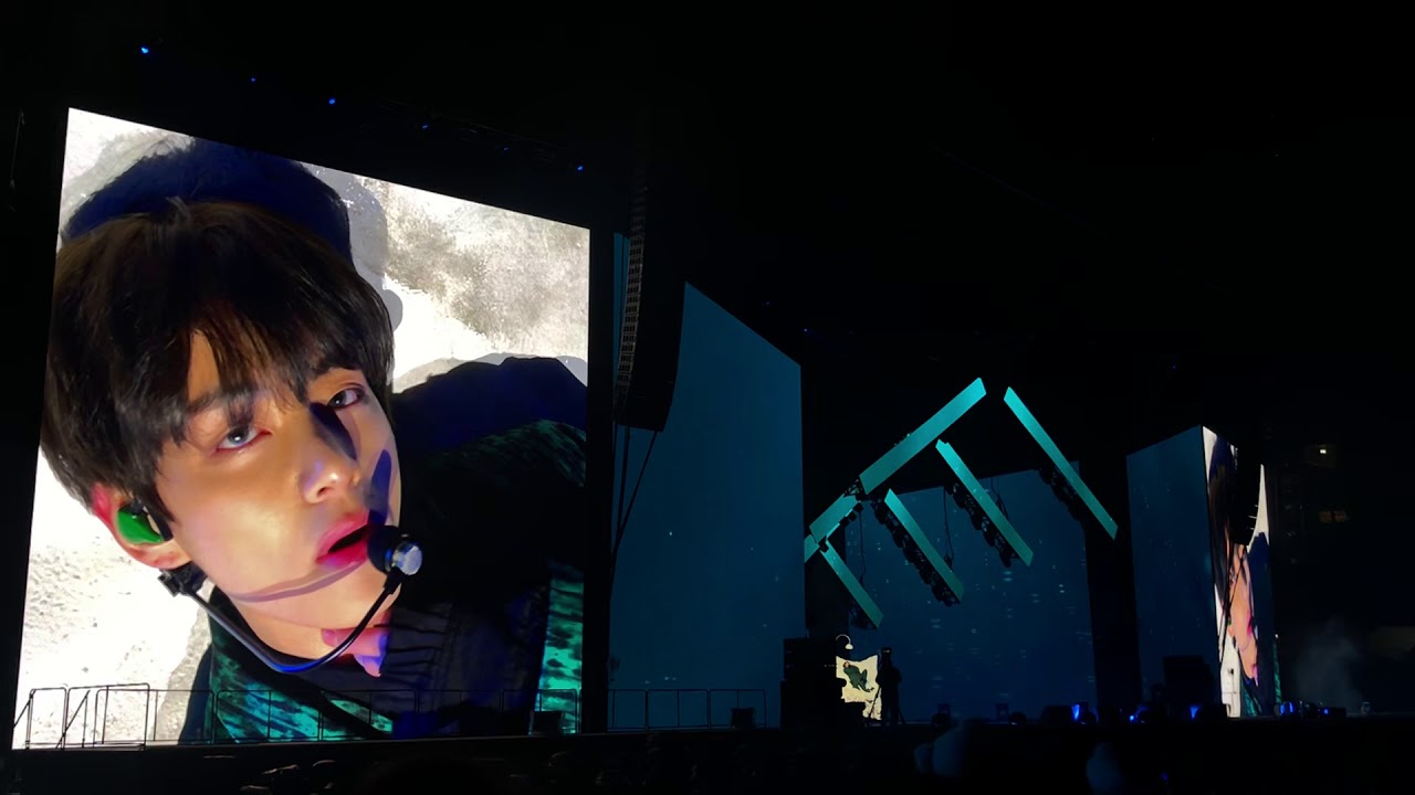 Kim Taehyung exploaded my ovaries once again: Singularity in Soldier Field Day 1