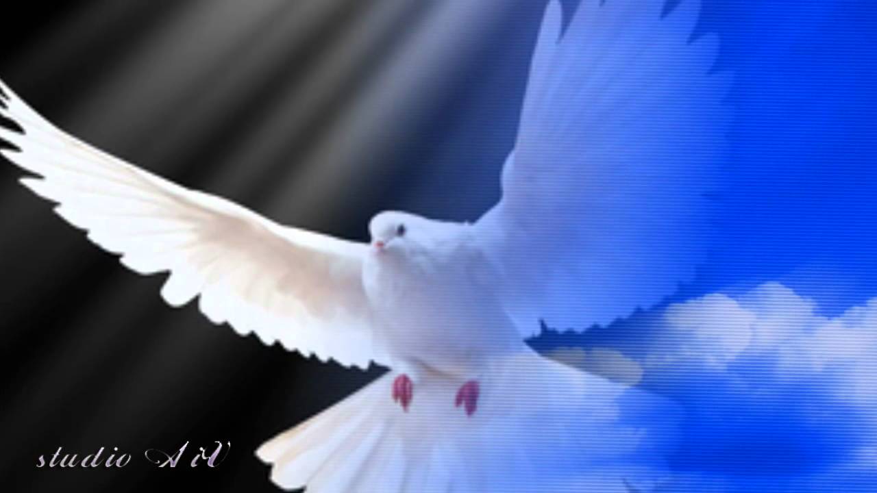 Ivan Puljić - Poletjela riječ