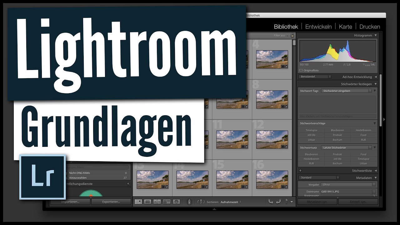 SO VERWALTEST DU BILDER MIT LIGHTROOM | Lightroom Organisation | Lightroom Grundlagen TUTORIAL