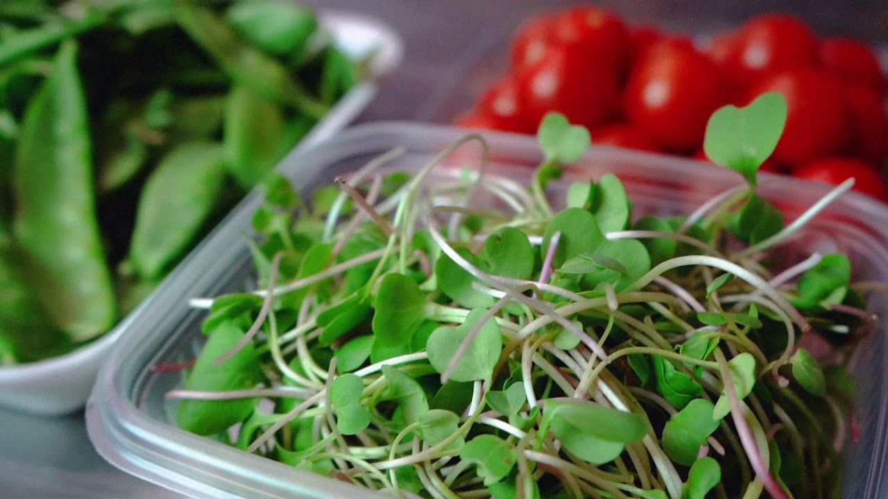 VERDURAS ORGANICAS