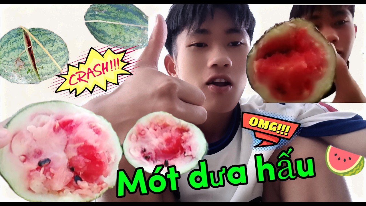 Vlogs #6 | Mót dưa hấu 🍉 còn sót lại | Sẽ như thế nào.