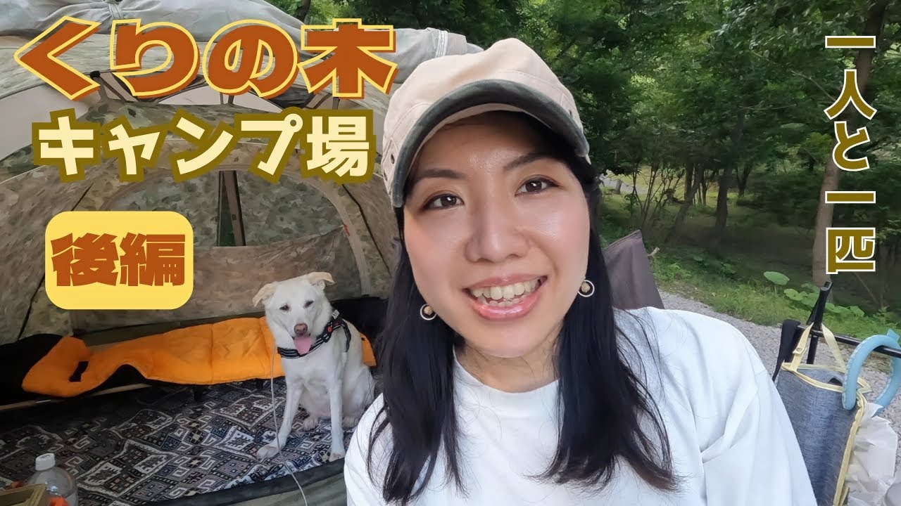 【くりの木キャンプ場後編】森の中で寿司を食べて夜景を眺める夏【一人と一匹】