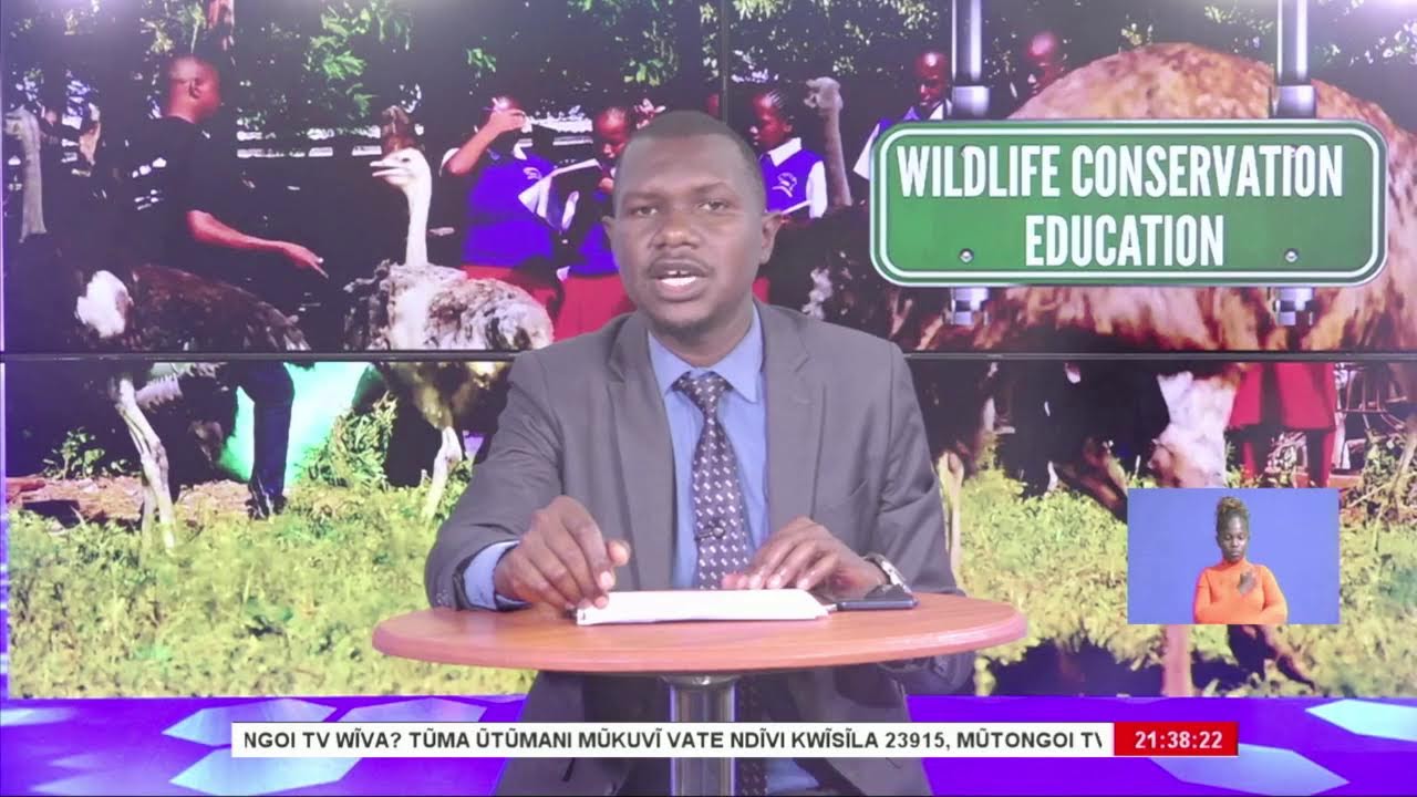 VILINGI WA MAUVOO 9PM 11TH FEBRUARY 2026 WINAKE STEPHEN MUEMA