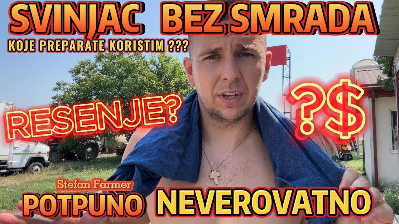 SVINJAC BEZ SMRADA, NEVEROVATNO !!!