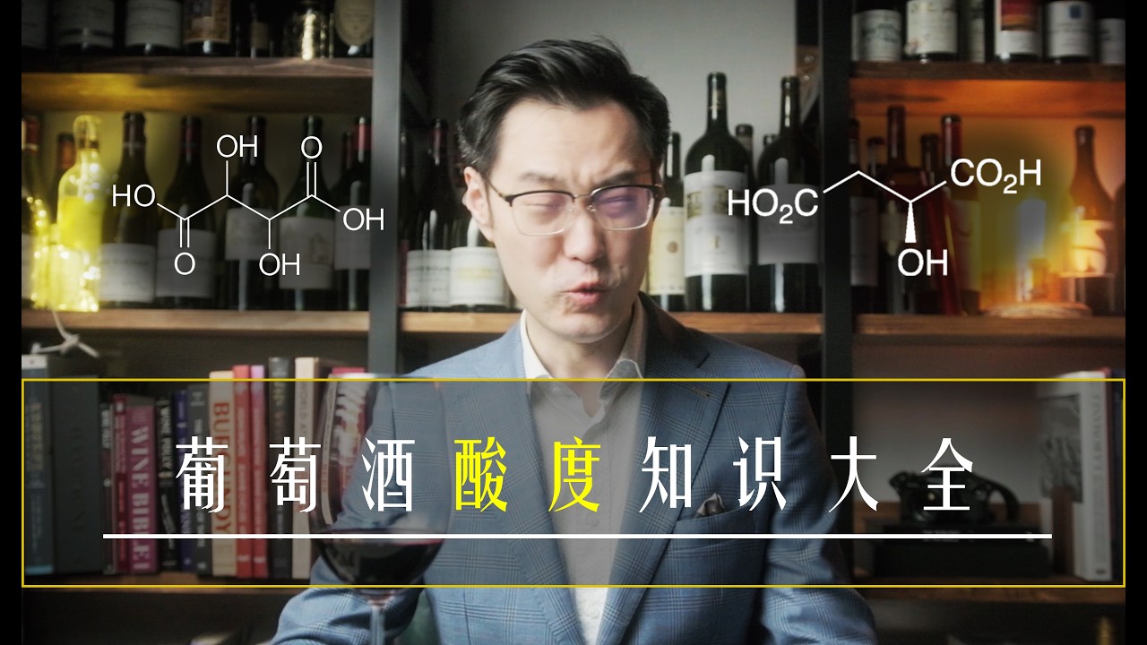 Wine Acidity in 3 Levels of Expertise 三个专业程度教你葡萄酒酸度的所有知识！酸度vs酸味有什么区别？酸度好不好？酸度怎么品鉴？