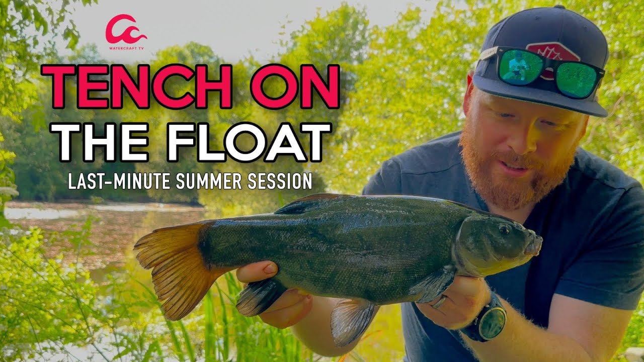 Forgotten Tench on the float - A short summer float fishing session!